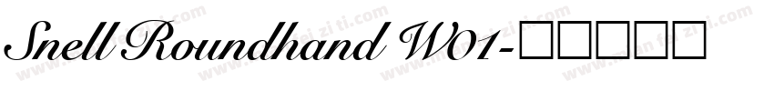 Snell Roundhand W01字体转换